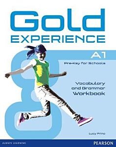 GOLD EXPERIENCE A1 WORKBOOK